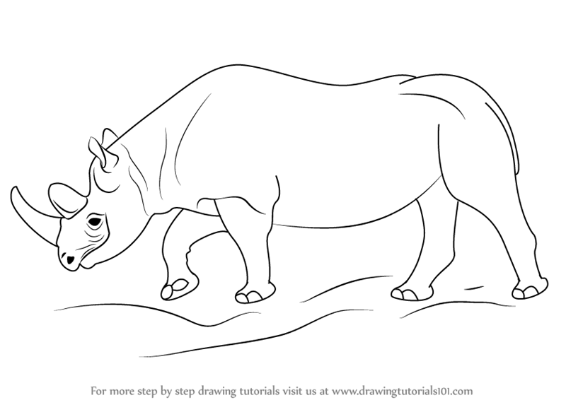 Rhino Outline Drawing at PaintingValley.com | Explore collection of Rhino Outline Drawing