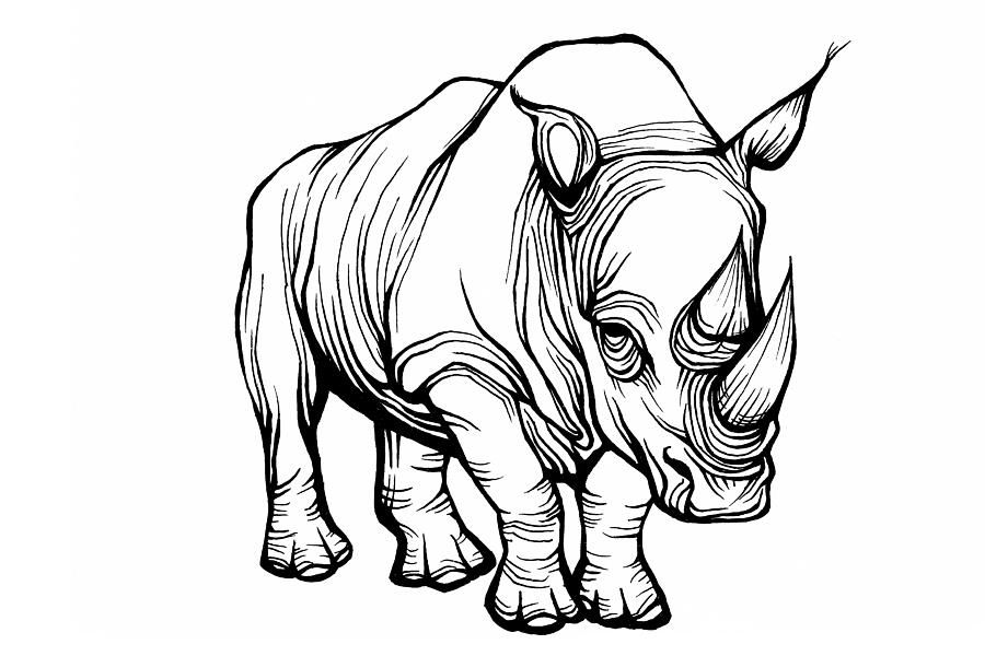 900x600 Tatu Drawings, Rhino Tattoo, Art Sketches - Rhino Outline Drawing