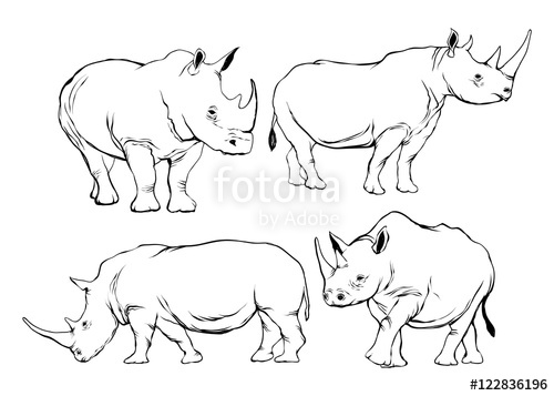 500x357 Rhino Outline Silhouette Set Stock Image And Royalty Free Vector - Rhino Outline Drawing