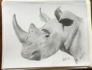 300x228 Hand Drawn Pencil Drawing Sketches Rhino With Bird Picture - Rhino Pencil Drawing