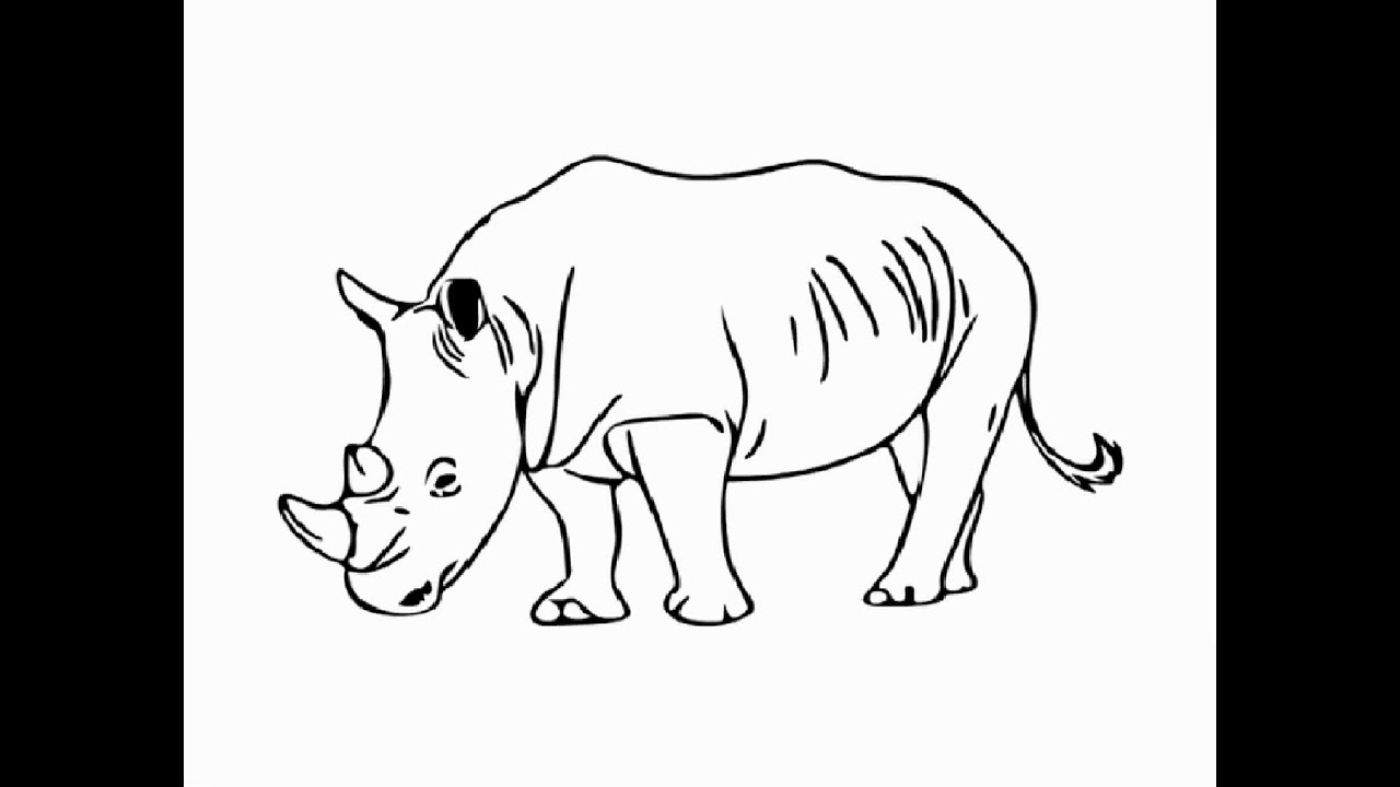 1280x720 How To Draw Standing White Rhino Pencil Drawing Step - Rhino Pencil Drawing