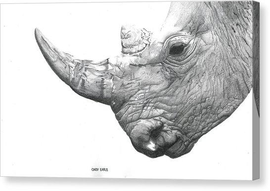 546x387 Pencil Rhino Drawing - Rhino Pencil Drawing