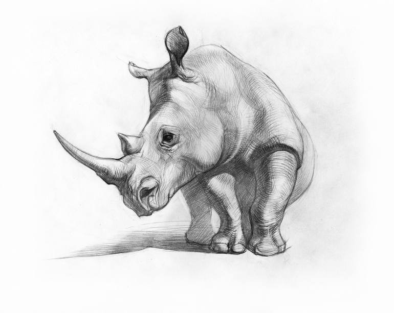 770x613 Rhino Drawing - Rhino Pencil Drawing