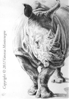 224x320 best rhino images rhinos, rhinoceros, sketches of animals - Rhino Pencil Drawing