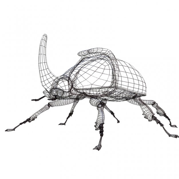 625x625 asset rhinoceros beetle rigged cgtrader - Rhinoceros Beetle Drawing