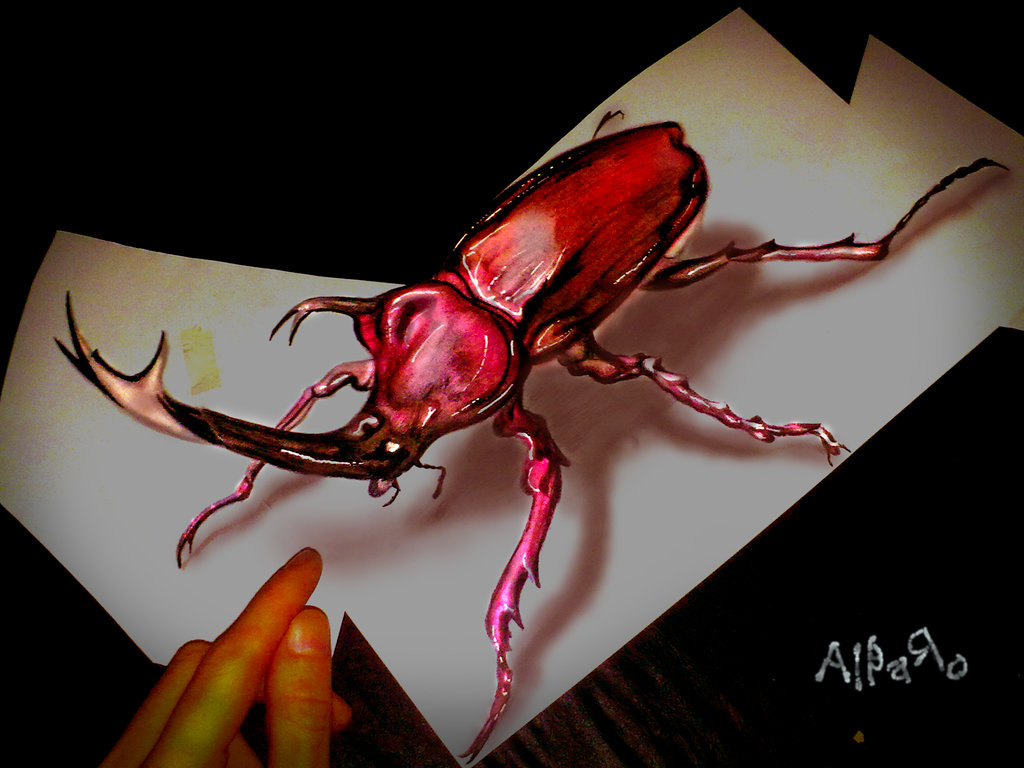 1024x768 japanese rhinoceros beetle drawing - Rhinoceros Beetle Drawing