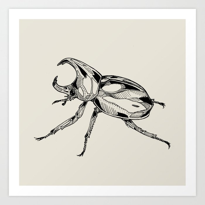 700x700 rhinoceros beetle art print - Rhinoceros Beetle Drawing