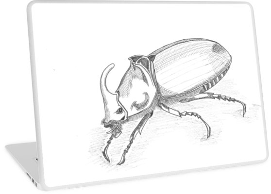 558x400 sketch rhinoceros beetle laptop skins - Rhinoceros Beetle Drawing