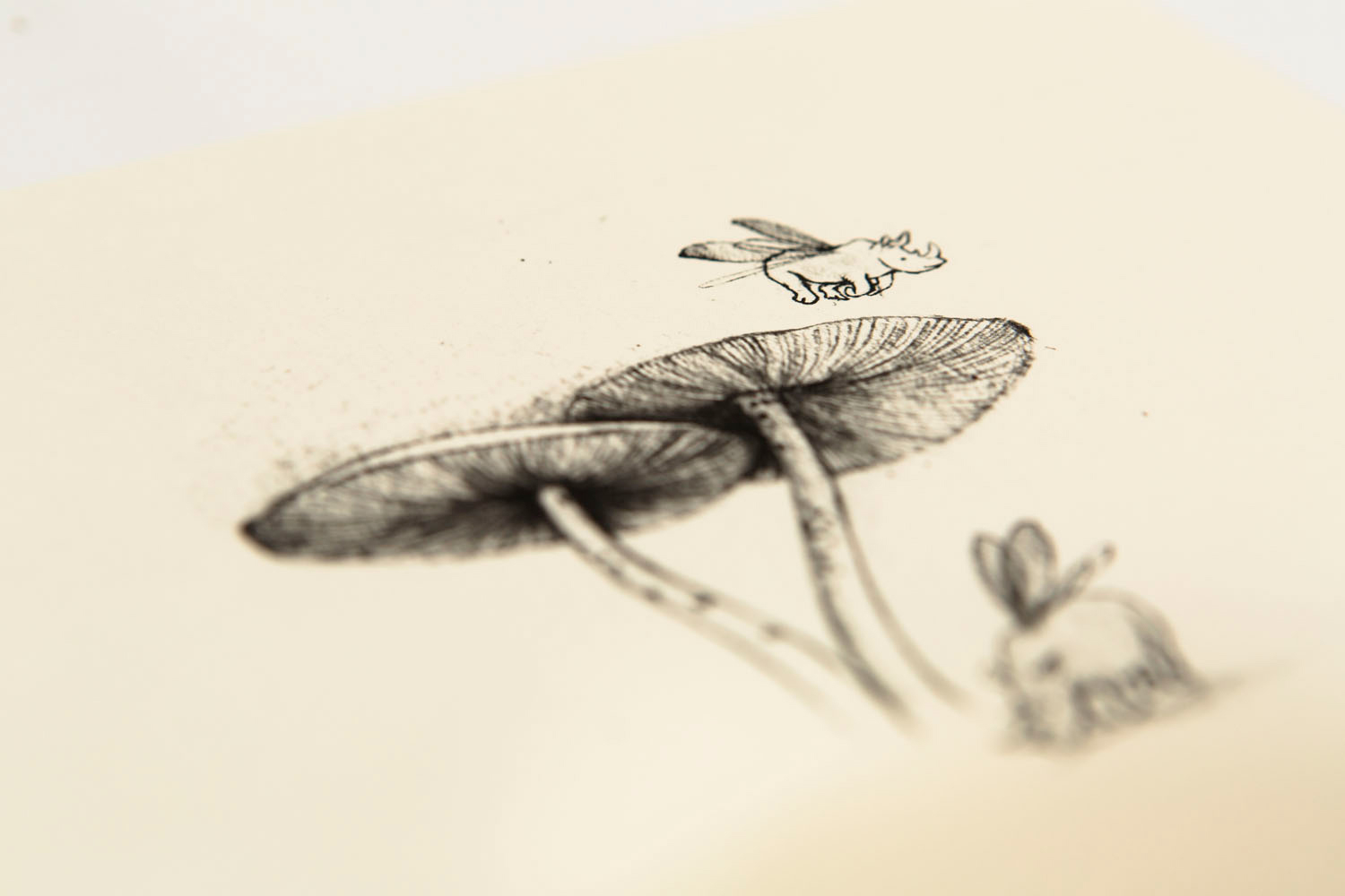 1500x1000 things with wings print with text rhinoceros beetles esther connon - Rhinoceros Beetle Drawing