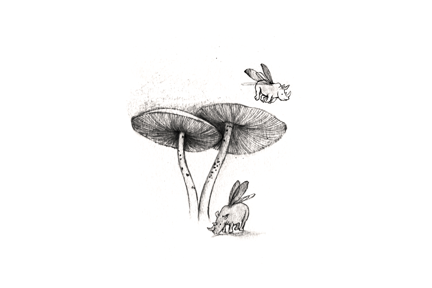 1500x1000 things with wings print rhinoceros beetles esther connon - Rhinoceros Beetle Drawing