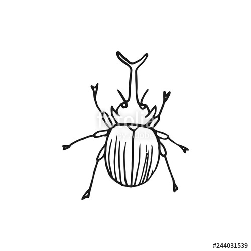 500x500 rhinoceros beetle vector doodle sketch isolated on white - Rhinoceros Beetle Drawing