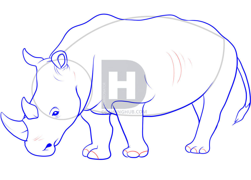 1000x720 How To Draw A Rhino, Step - Rhinoceros Drawing