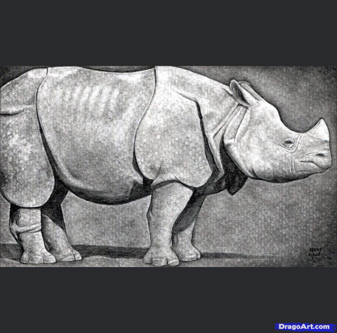 1276x1262 how to draw a realistic rhino, realistic rhinoceros, step - Rhinoceros Drawing