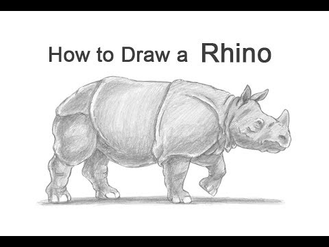 480x360 how to draw a rhinoceros - Rhinoceros Drawing