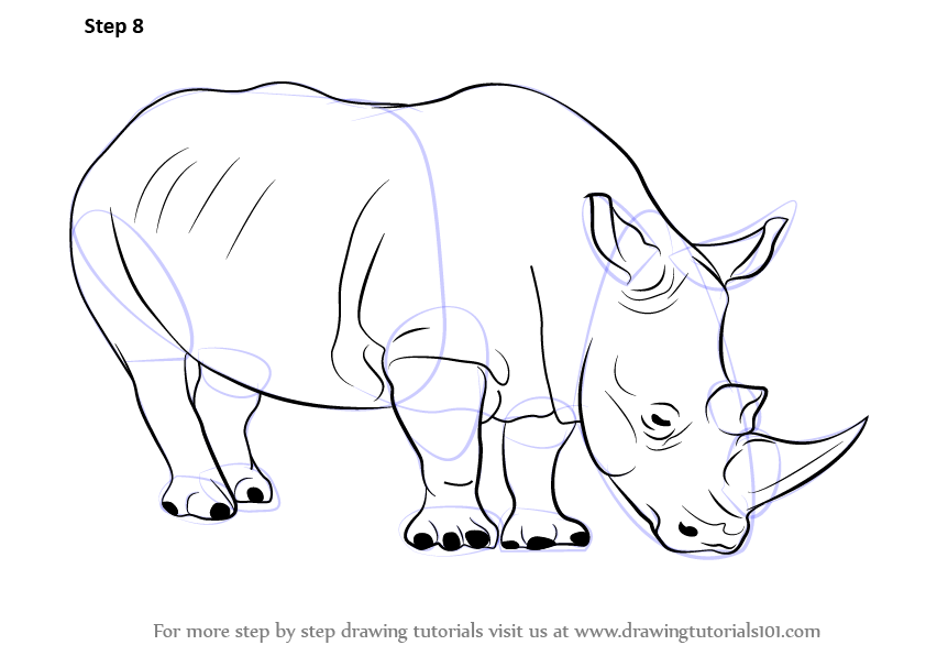 842x596 learn how to draw a rhinoceros - Rhinoceros Drawing