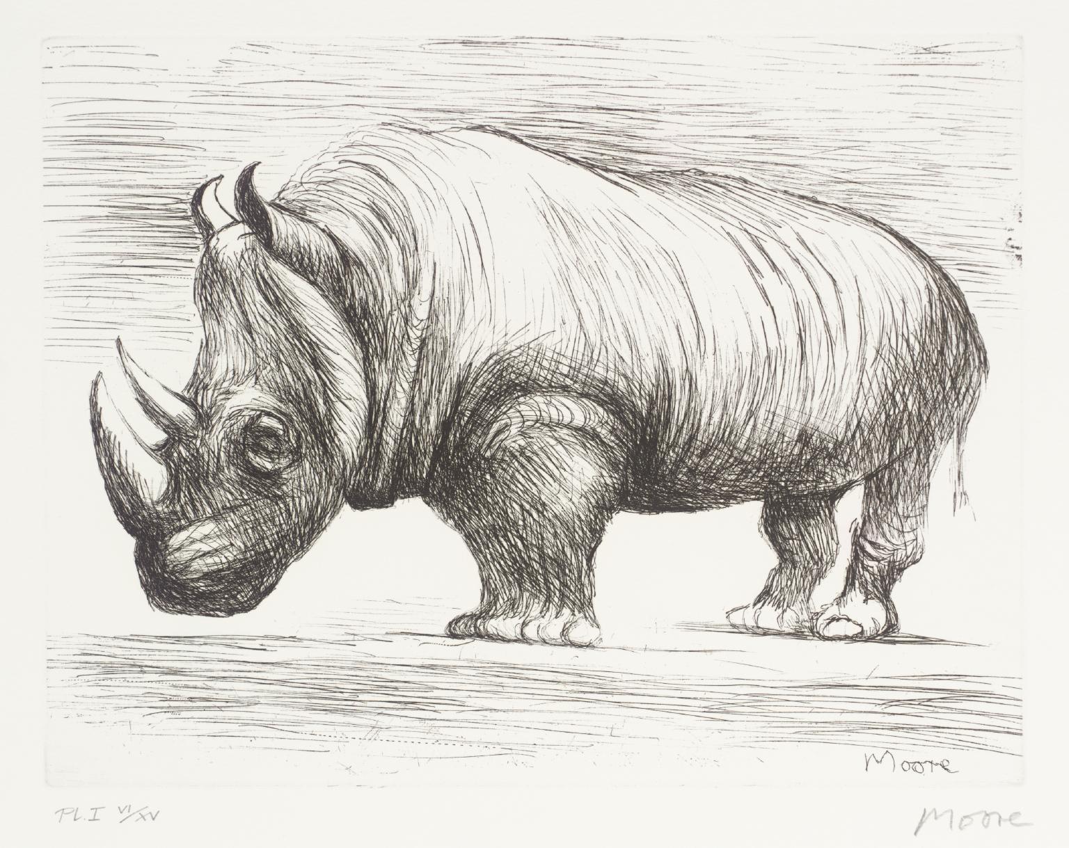 1536x1219 rhinoceros', henry moore om, ch, tate - Rhinoceros Drawing