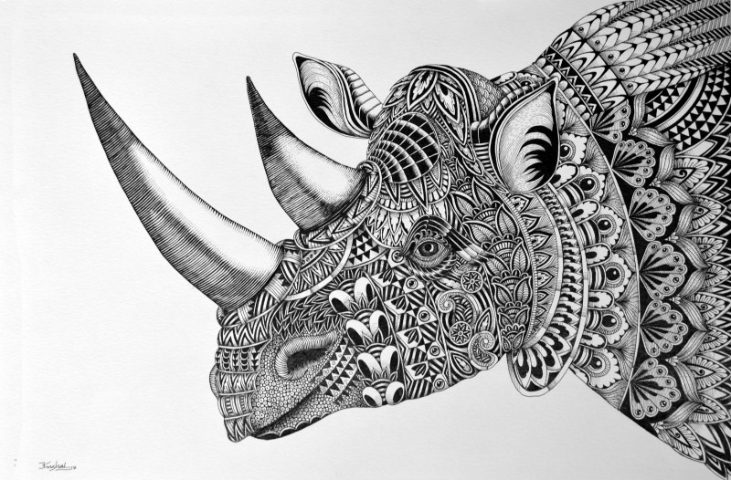 800x526 rhinoceros - Rhinoceros Drawing