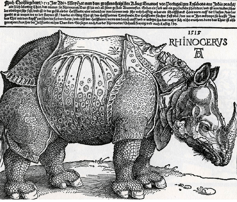 760x647 the history of the rhinoceros - Rhinoceros Drawing