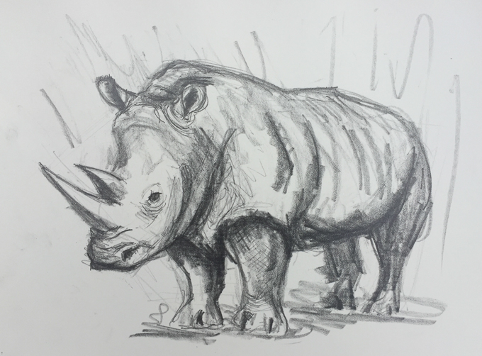 680x502 world rhino day my tatty sketchbook - Rhinoceros Drawing