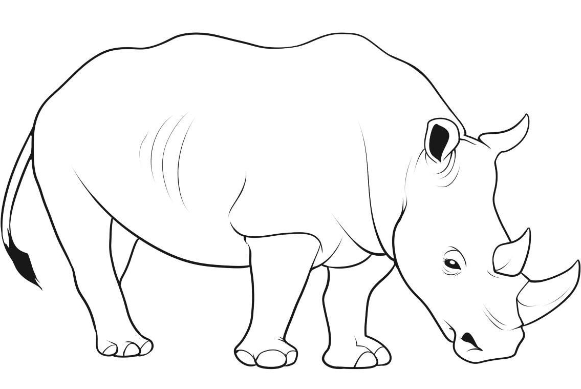 1135x759 Rhino Drawing Kid For Free Download - Rhinoceros Line Drawing