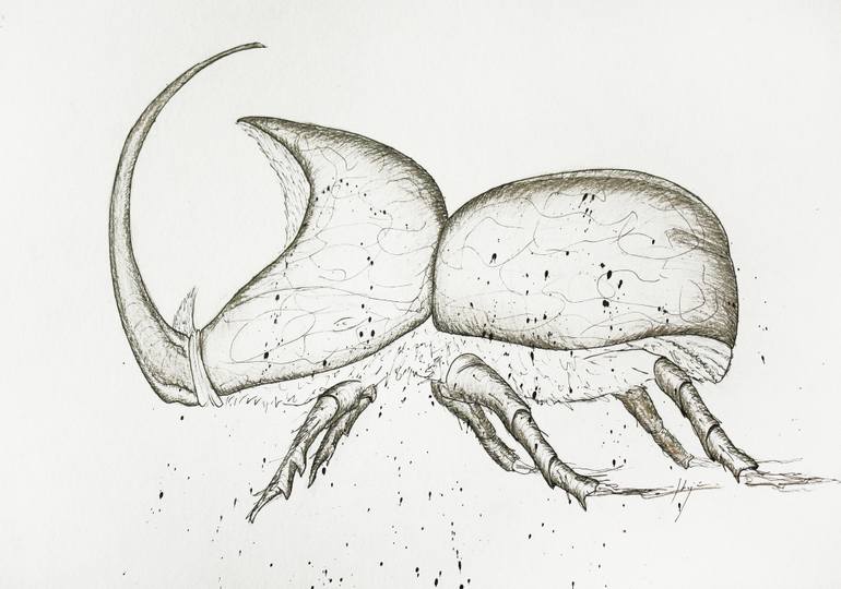 770x540 beetle rhinoceros drawing - Rhinoceros Line Drawing