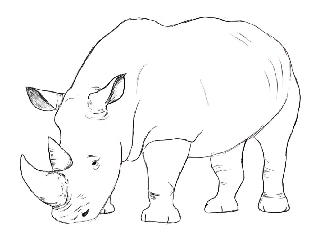 1024x768 how to draw a rhino draw central drawings, rhino art, rhino tattoo - Rhinoceros Line Drawing