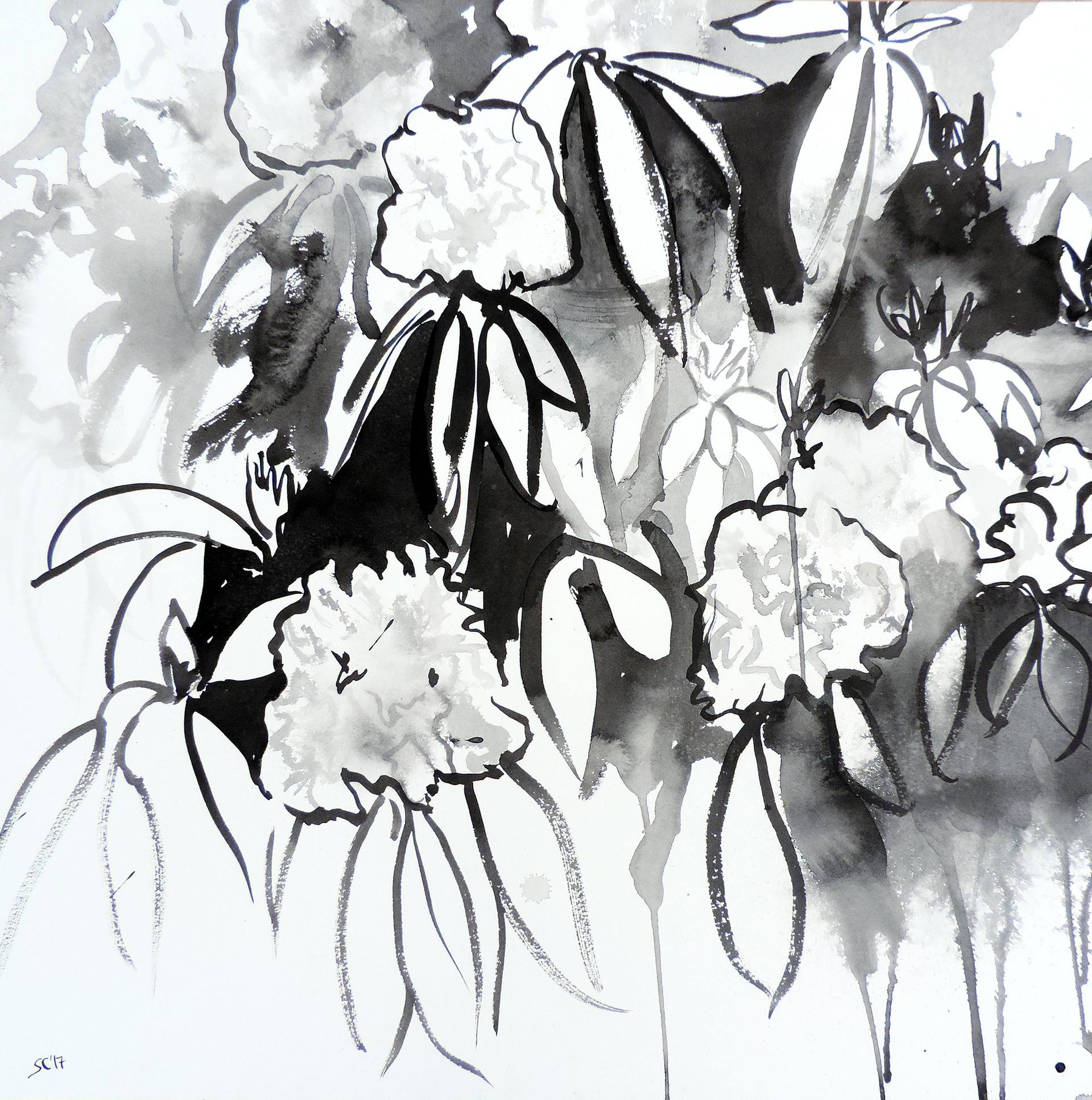 1920x1935 Rhododendron Drawing - Rhododendron Flower Drawing