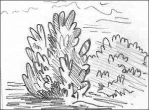 300x222 Rhythm Drawing - Rhythm Drawing