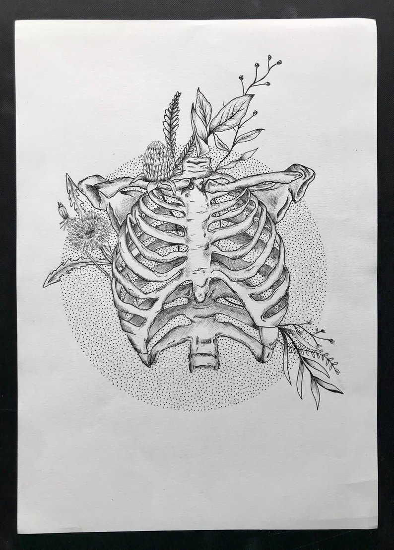 794x1107 Skeleton Rib Cage With Wildflowers Pen Drawing Etsy - Rib Cage Drawing