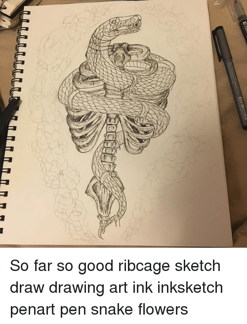 500x654 So Far So Good Ribcage Sketch Draw Drawing Art Ink Inksketch - Rib Cage Drawing