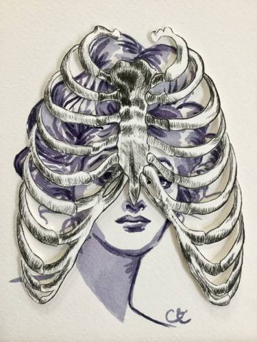 375x500 Cage Drawing - Rib Cage Drawing