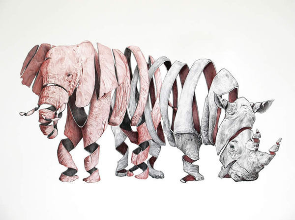 600x449 best illustration elephant rhino ribbon drawing images - Ribbon Art Drawing