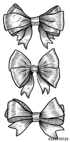 246x500 Bow, Ribbon Illustration, Drawing, Engraving, Ink, Line Art - Ribbon Line Drawing