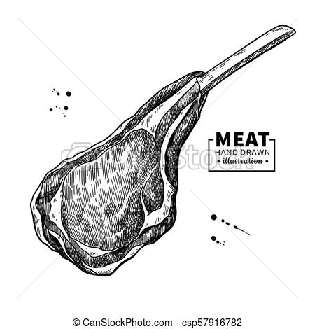450x470 lamb rib vector drawing red meat hand drawn sketch engraved raw - Ribs Drawing