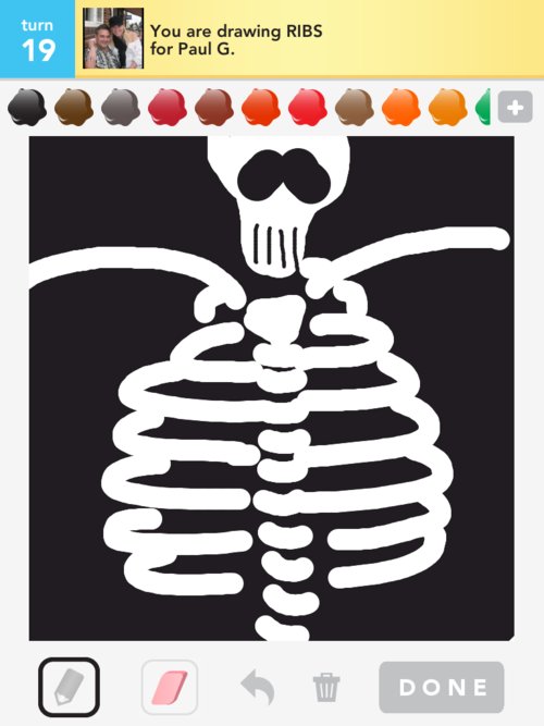 500x667 Ribs Drawings - Ribs Drawing