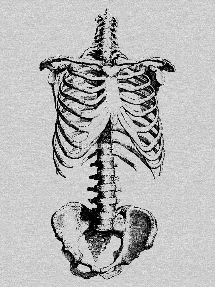750x1000 Sleleton Drawing Of Ribs, Torso And Pelvis T Shirt - Ribs Drawing