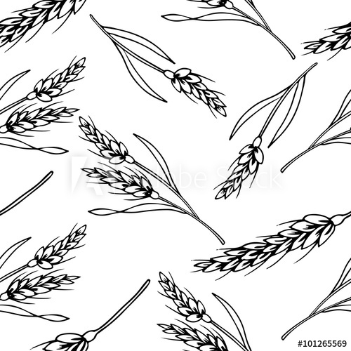 500x500 organic rice seamless pattern, contour drawing vector illustration - Rice Drawing