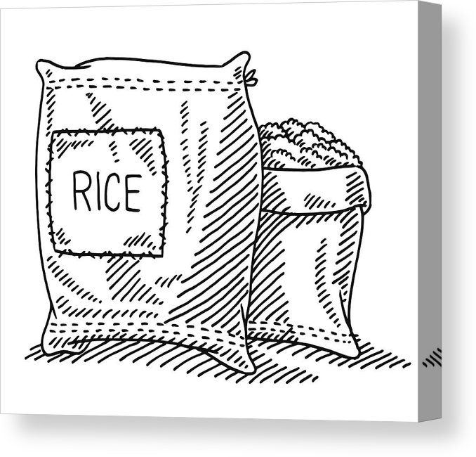 678x650 sack of rice drawing canvas print canvas art - Rice Drawing
