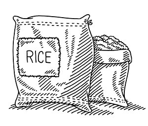 300x257 sack of rice drawing - Rice Drawing
