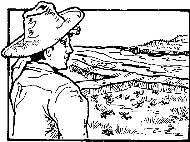 608x455 rice paddy png black and white transparent rice paddy black - Rice Field Drawing