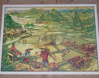 340x270 rice field drawing etsy - Rice Field Drawing