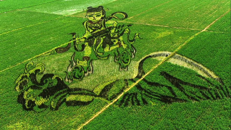 Rice Field Drawing at PaintingValley.com | Explore collection of Rice