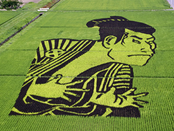 600x450 art paddy field drawing japan pjlighthouse art of the state - Rice Field Drawing