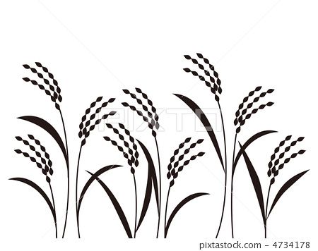 450x356 image result for line drawing rice plants tattoo ideas rice - Rice Plant Drawing