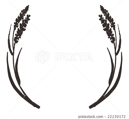 450x417 ear rice - Rice Plant Drawing