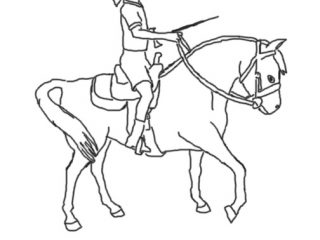 320x240 horse riding pictures to color girl riding horse drawing - Riding A Horse Drawing