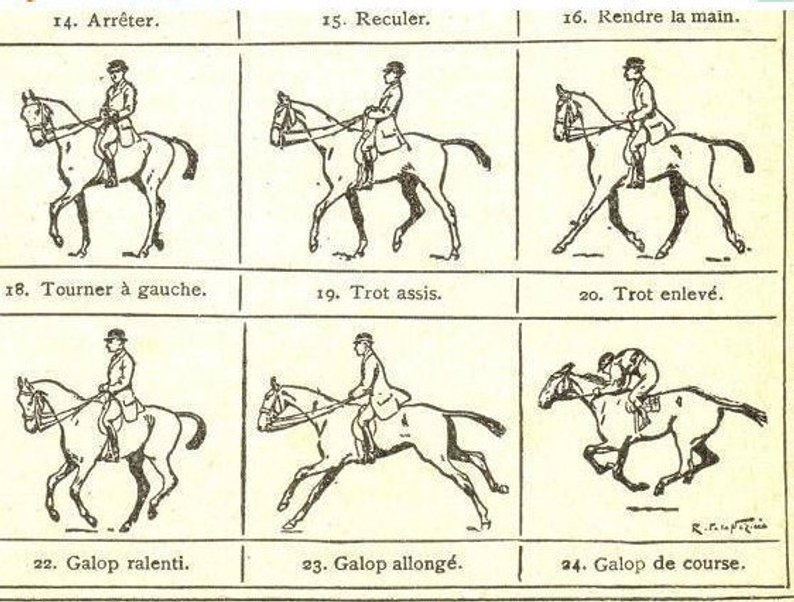 794x602 original equestrian riding horse track dictionary print french etsy - Riding A Horse Drawing