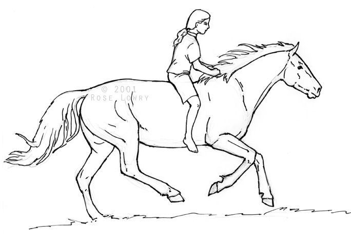 684x476 person riding horse drawings and sketches exam - Riding A Horse Drawing