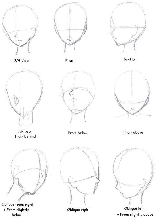 600x828 Drawing The Head - Right Drawing