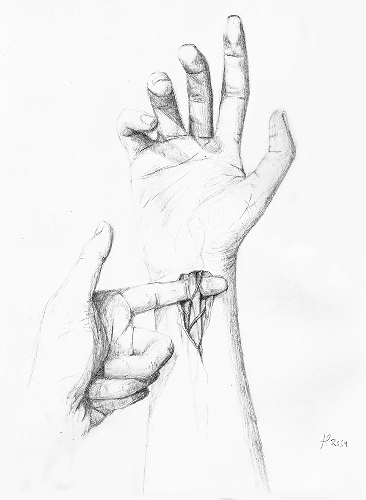 733x1000 Examining Hands Random Doodles - Right Hand Drawing